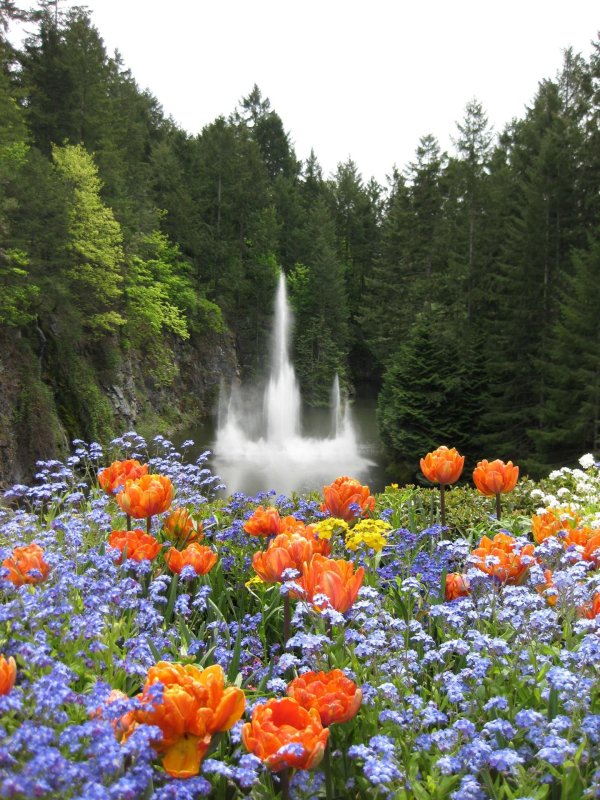 сады бутчартов фонтаны