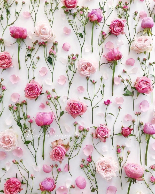 мелкие цветочки