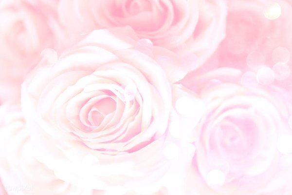 фон женский нежный