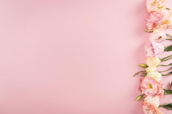 цветы на розовом фоне