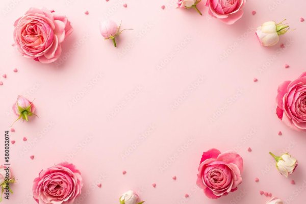 розовые цветы