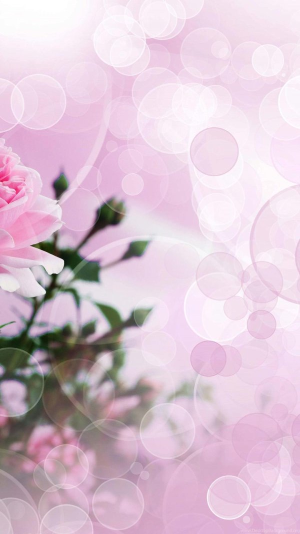 открытки и поздравления