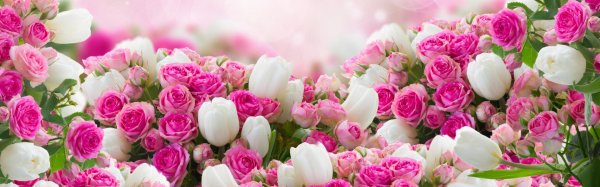 розы тюльпаны