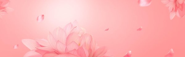 лотос на нежном фоне