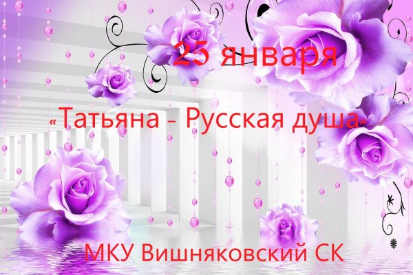 фиолетовая роза