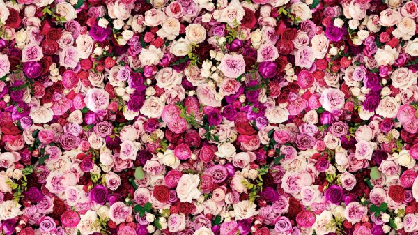 цветочные принты