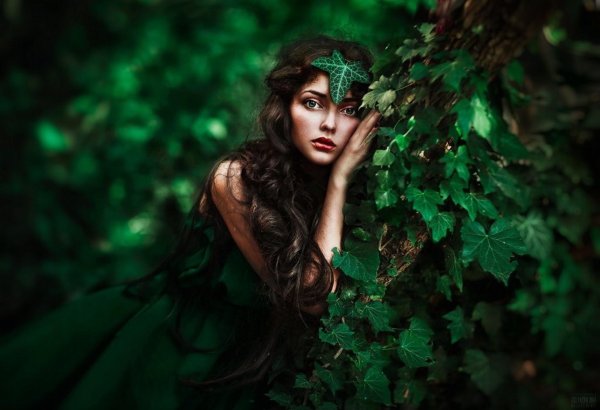 сказочные фотоработы светланы беляевой