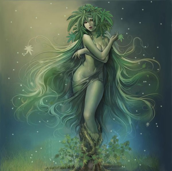 кикимора болотная