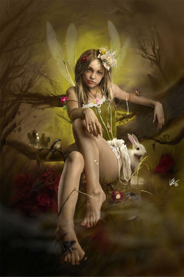 лысакова дарина феи и эльфы