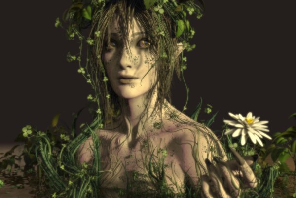 ведьмак дриады