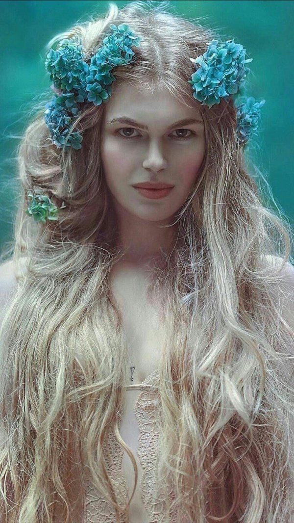 agnieszka lorek эльфы