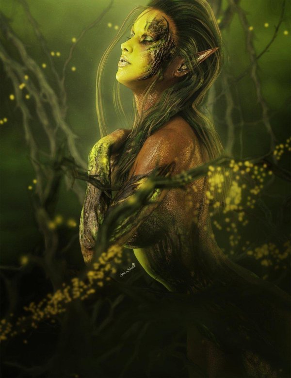 кикимора красивая