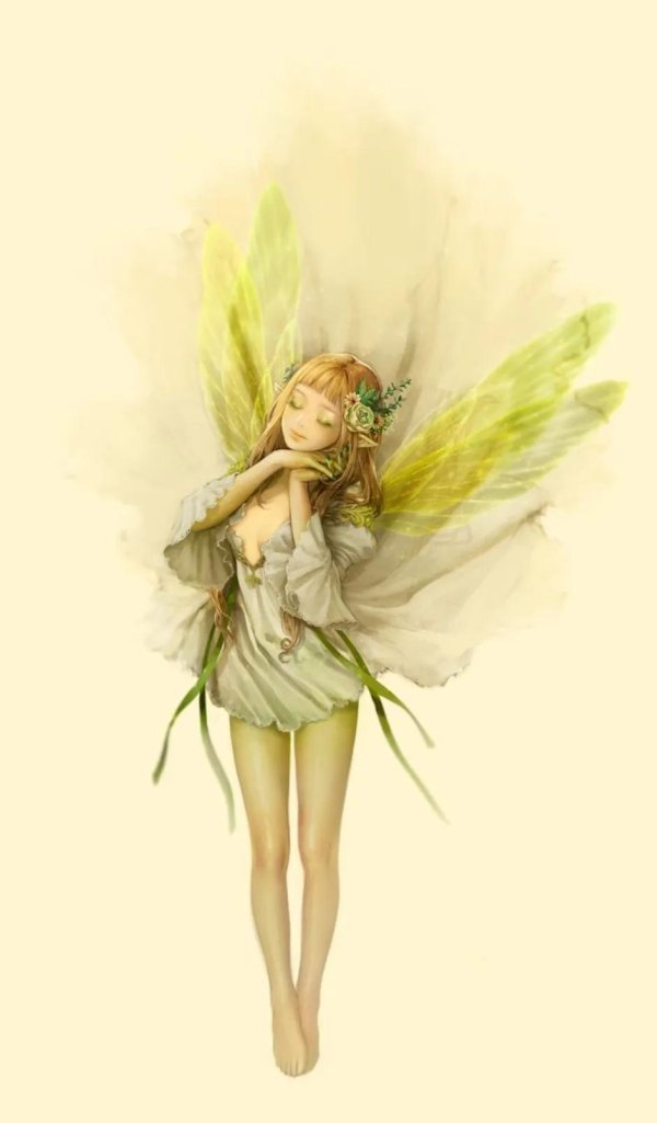fairy fairy