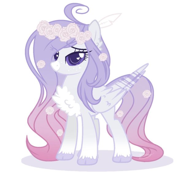 пони с красивой гривой