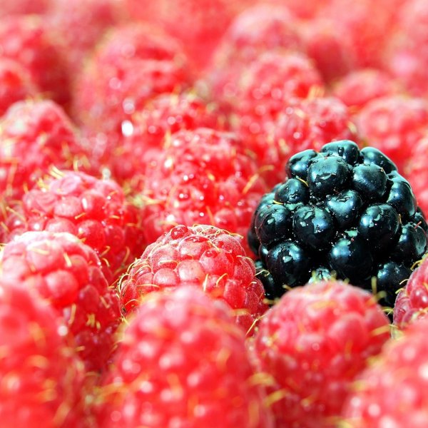 малина ежевика