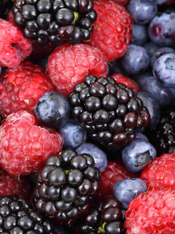 ягода ежевика