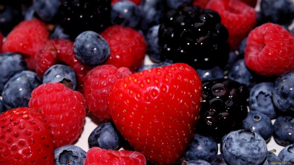 фон с ягодами