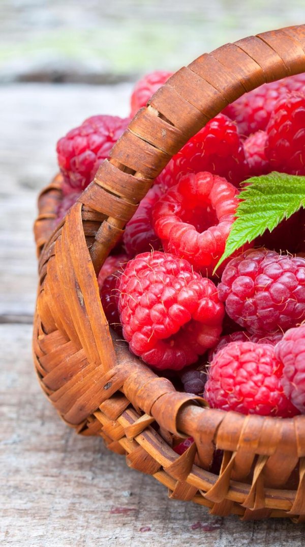 корзинка с ягодами