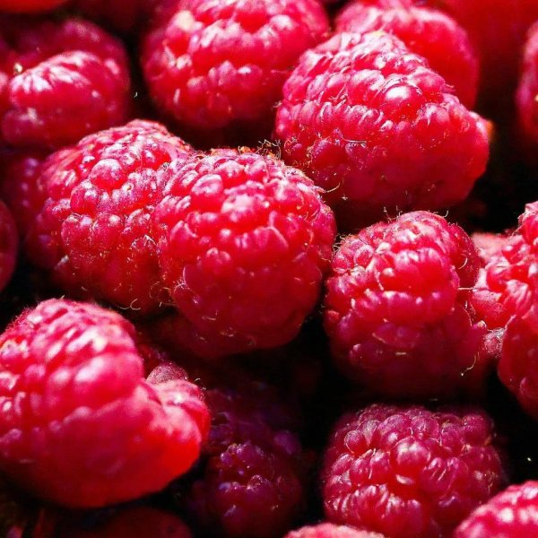 ягода малинка