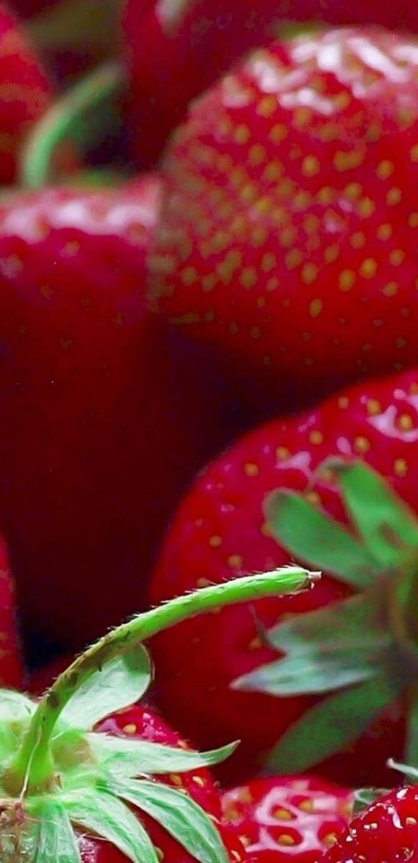 клубника красивая