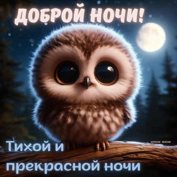 пожелания доброй ночи с совой