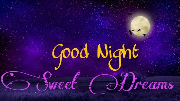 good night sweet dreams
