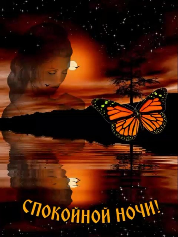 спокойной ночи открытка