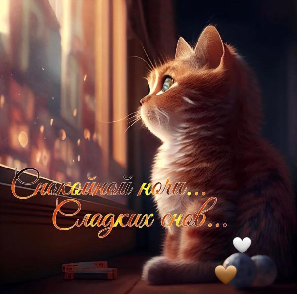 спокойного вечера