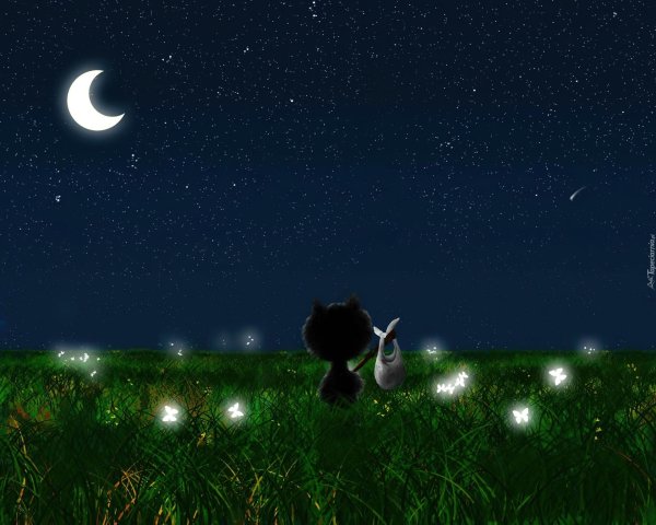 сказочная ночь