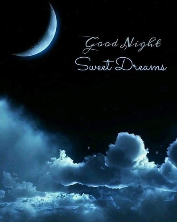 ночь прекрасна