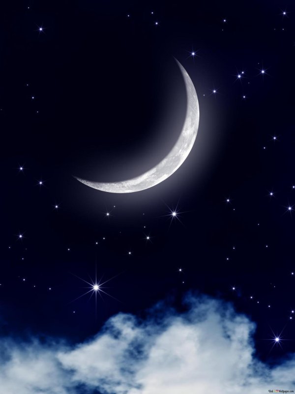 1 лунный день