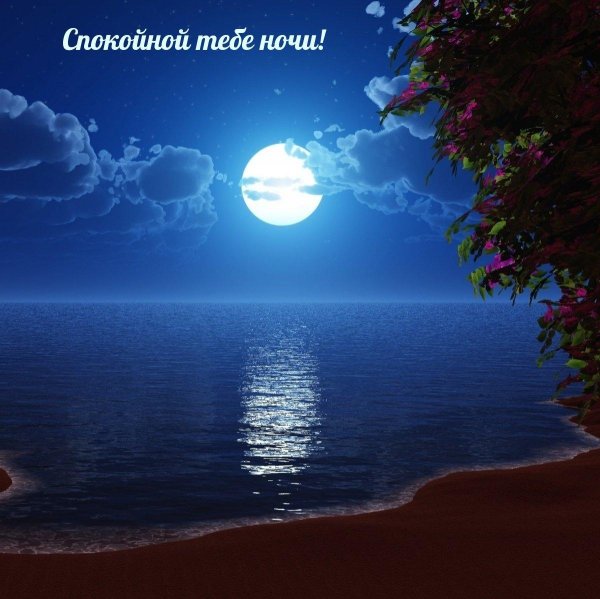 море лунной ночью