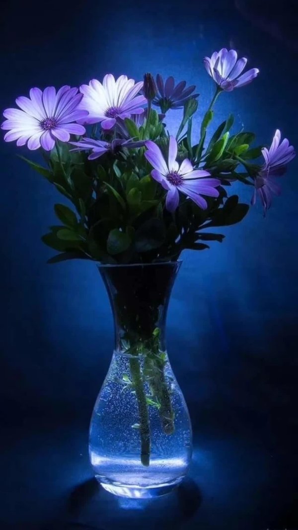 доброго вечера с цветами