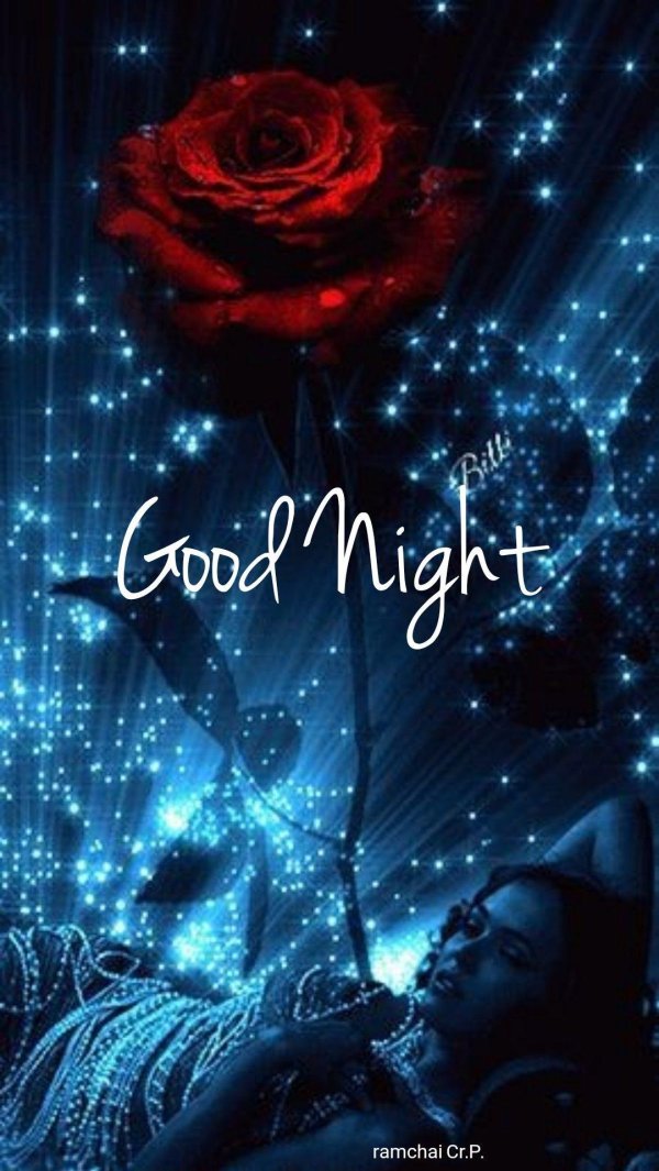 красивая роза