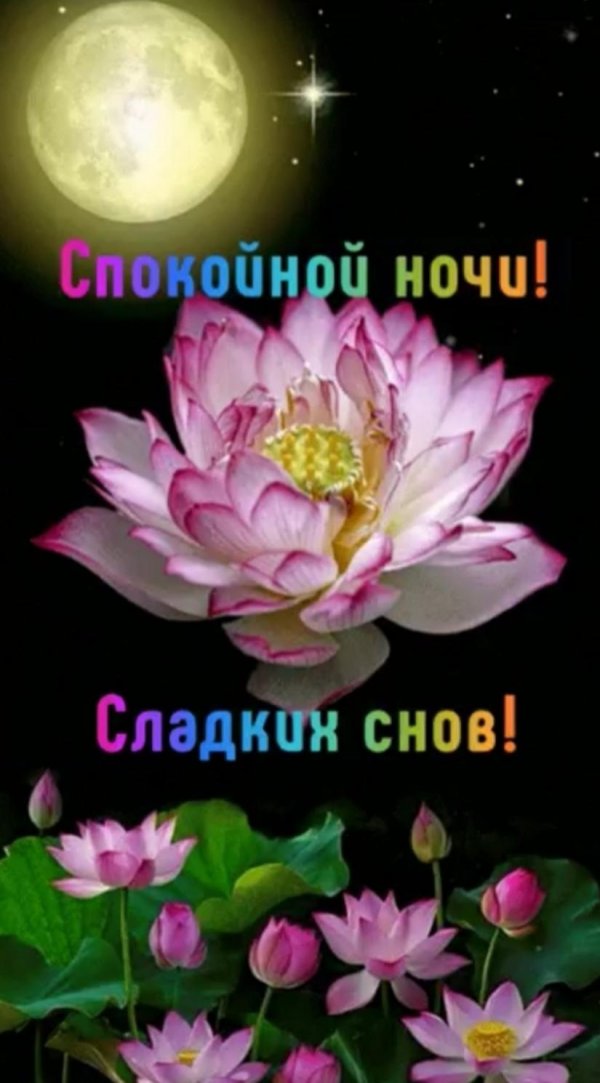 открытка спокойного ночи