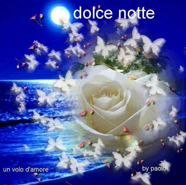 buona notte