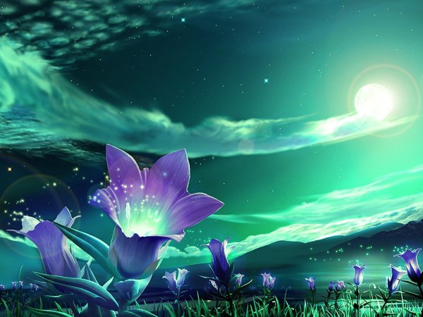 сказочные цветы