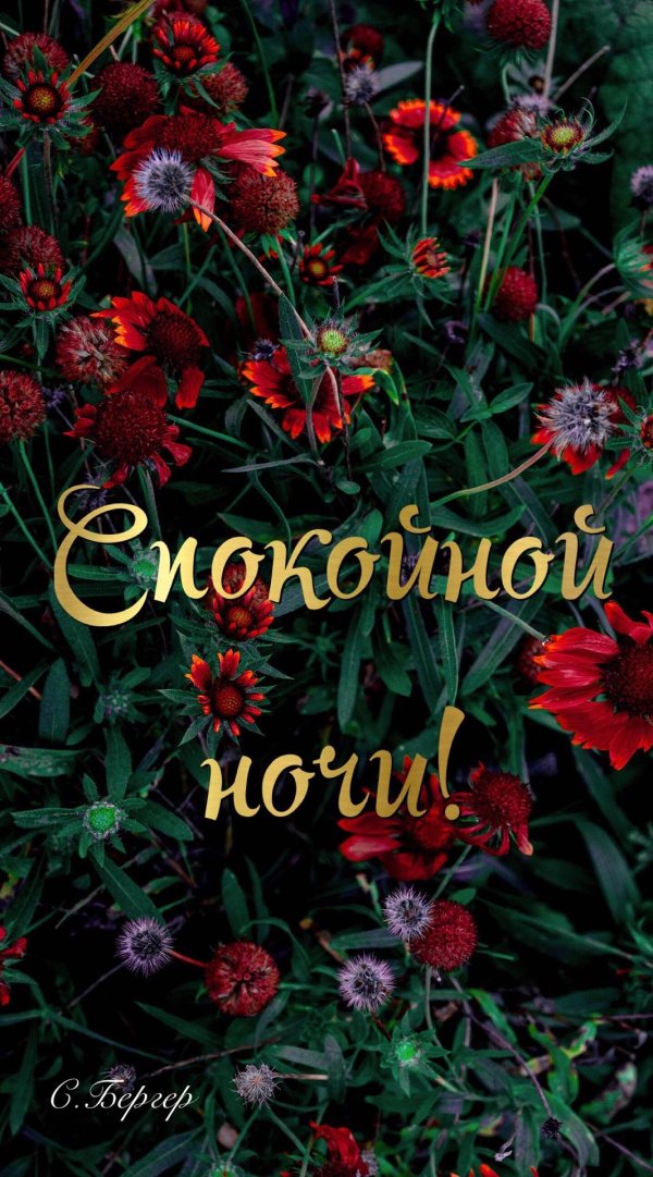 спокойной летней ночи