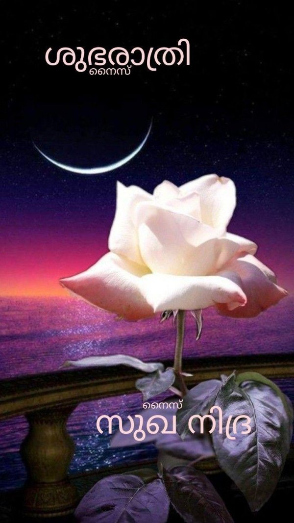 good night sweet dreams