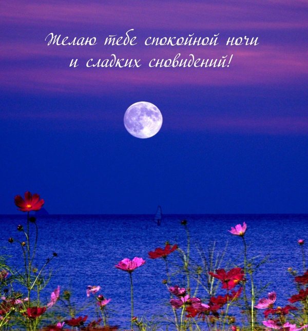 спокойная ночи