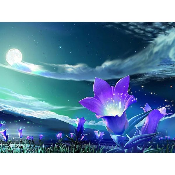 ночной цветок луноцвет