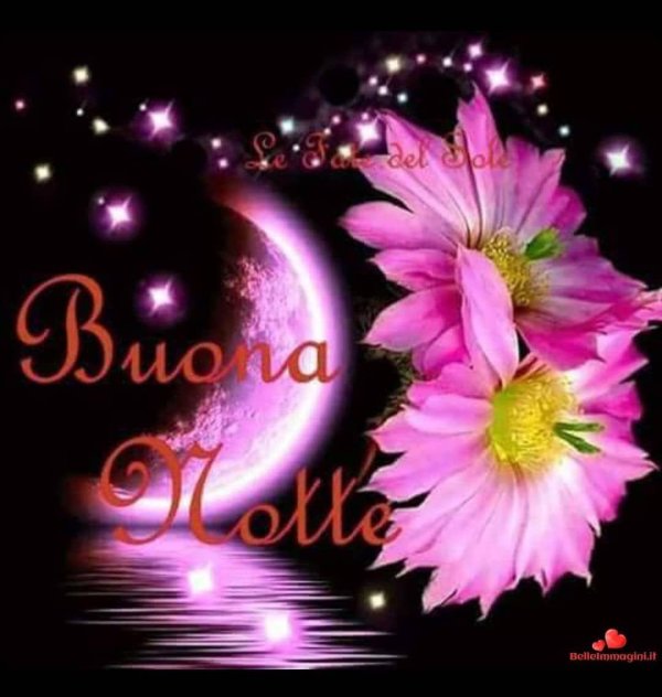 buona notte