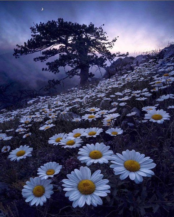 красота природа