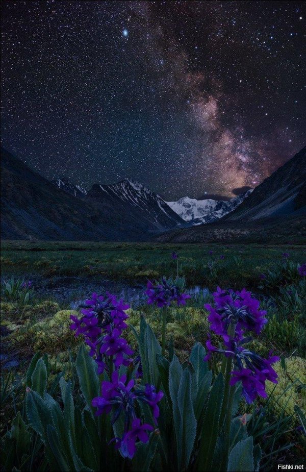 гора белуха