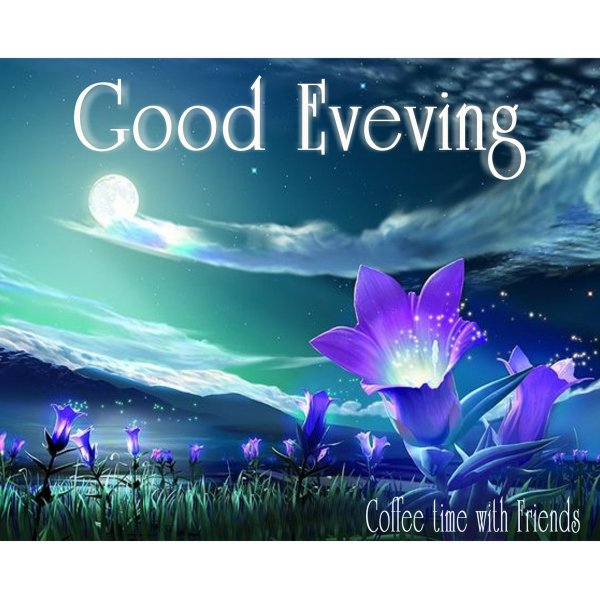 ночной цветок луноцвет