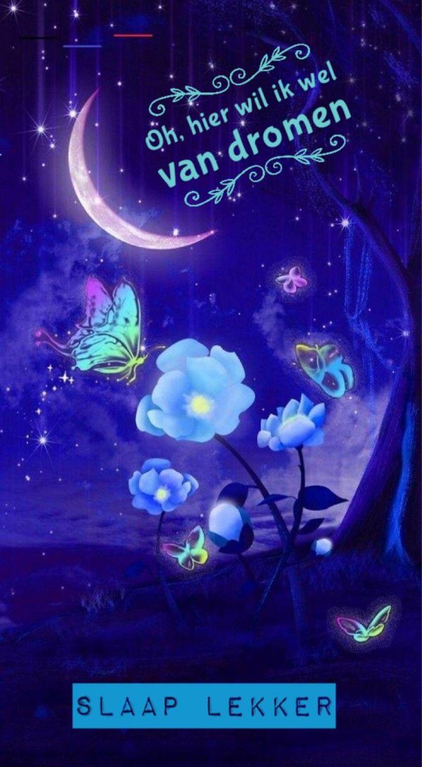 ночной цветок луноцвет