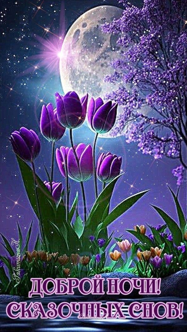 добрейшей ночи