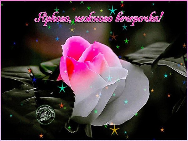 доброго нежного вечера