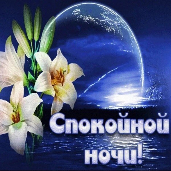 открытка спокойного ночи