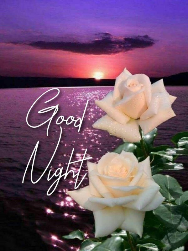 good night sweet dreams